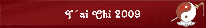 T�ai Chi 2009