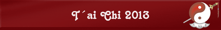 T�ai Chi 2013